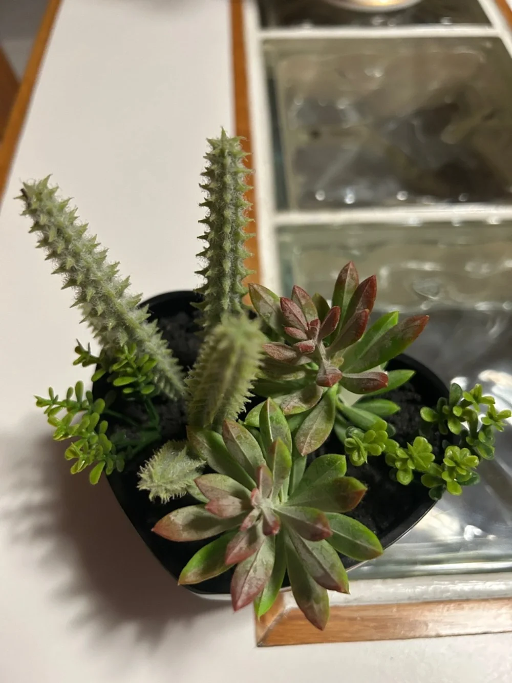 Artificial Succulent Arrangement in Black Planter - Green and Red Accents